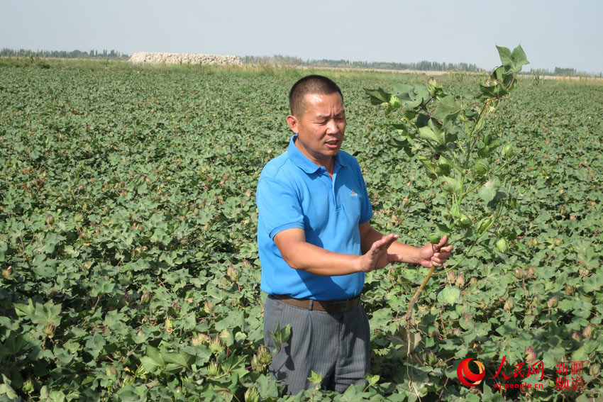 ѩԴ 
ѩԴ^̎옷
    ^̎옷ɹĲHHYϵĝMҪǘsuкͫ@øǌҵĿ϶½rIƌWԺоLѩԴf
    1988½һrWԺrWϵIԺѩԴһֱ޻Nѽ30d
    ѩԴĕ[ŵĲHH޻Nĕ߀ƏVȸNĕѩԴB30_Уrļoָc޻ķNֲ
    Щ}ǟc}ڌh֪ȥ˽c}аlaƷJɶȲŸһѩԴ֜ʂC޺и߶Ʒ|޻ƷNаlf@eס
