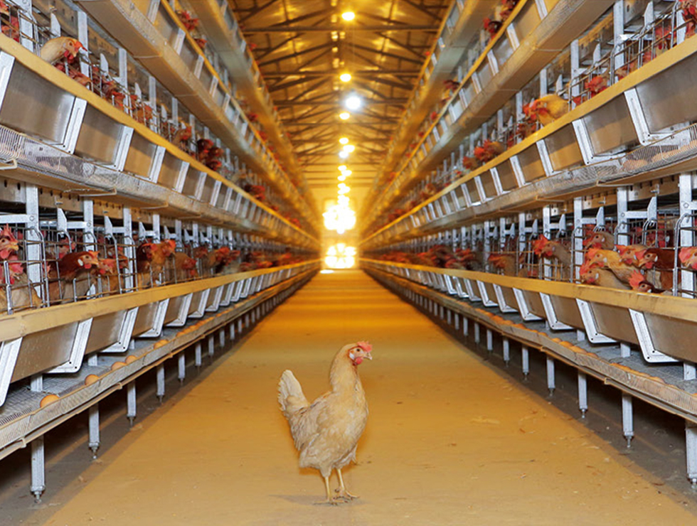 ֿhˠʲ彨nؚ􅢹ɵBu