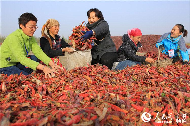 Lݾ            r񂃞סM·T䁵ĵ·wȦͨԁˮX_ġ 