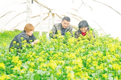 g^n        Kؔv^ڎȱلڄĴժ߲QHy