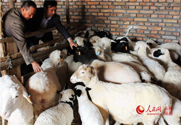 ޿hlȫСh֧ʮʮؚģʽ z