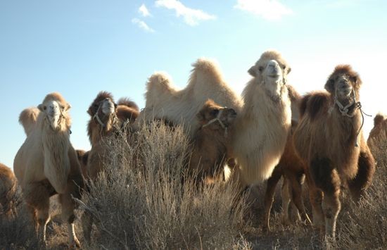 aIƄӾʷؚ        ԭ҇؅^eϾrɹŰ궬sæµæoD