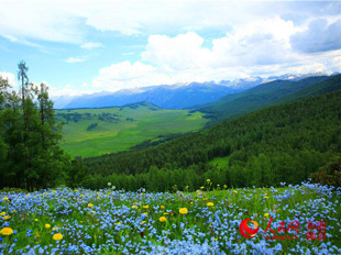 新疆哈巴河：云中草原看那仁