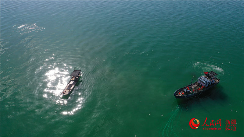 ½˹v˚g~S~æW㿴½6