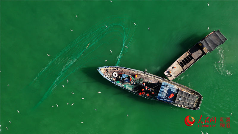 ½˹v˚g~S~æW㿴½5