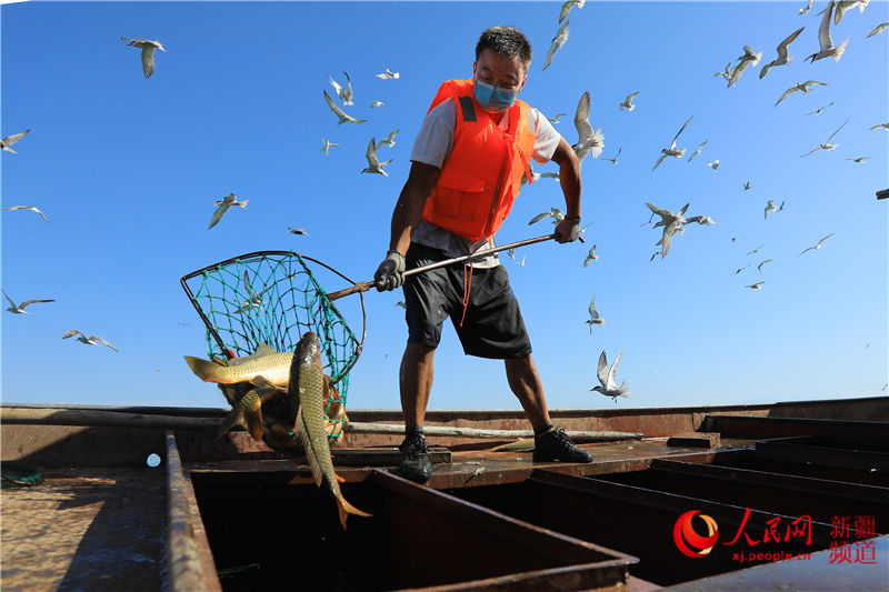 ½˹v˚g~S~æW㿴½7