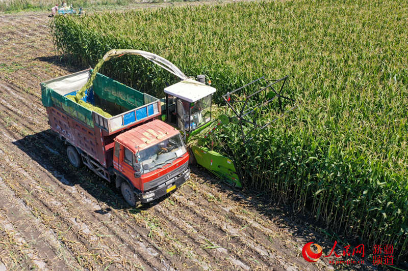 ½ӿh˼ґrIһҵĲϵZQոCgش¼ z