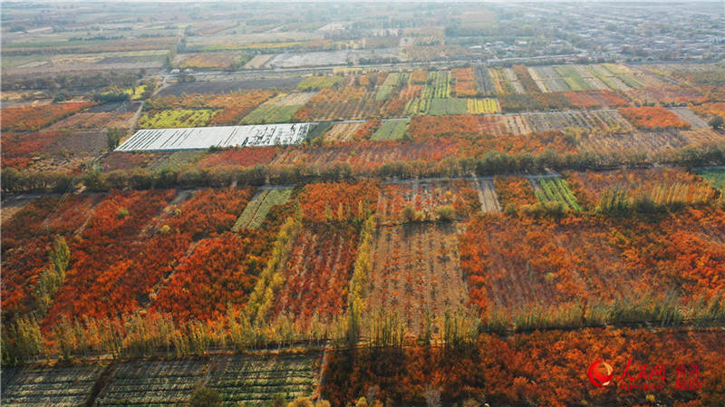 ½пdfӈ@[֮(W㿴½)2