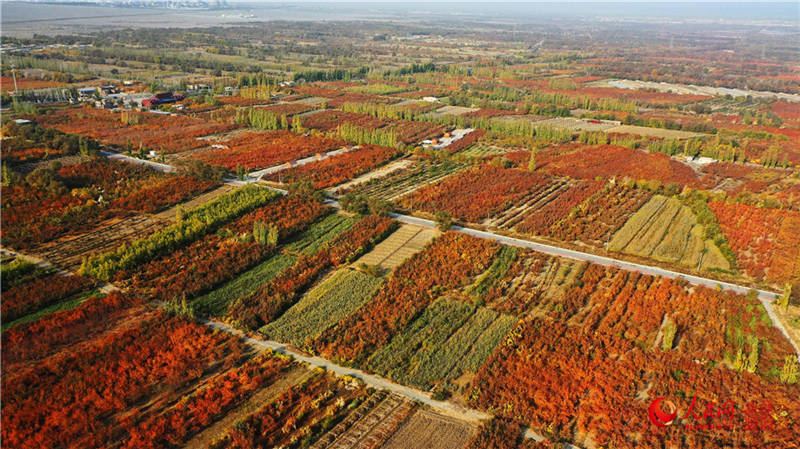 ½пdfӈ@[֮(W㿴½)8