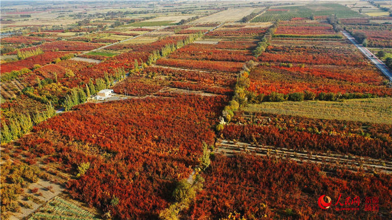 ½пdfӈ@[֮(W㿴½)3