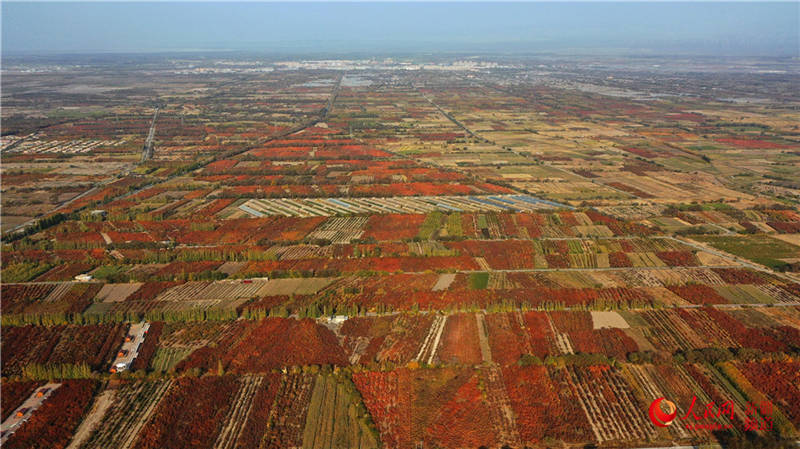 ½пdfӈ@[֮(W㿴½)11