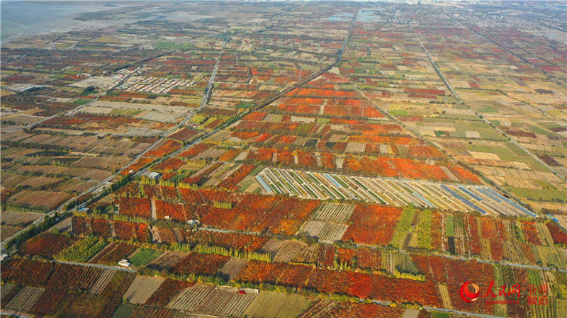 ½пdfӈ@[֮(W㿴½)4