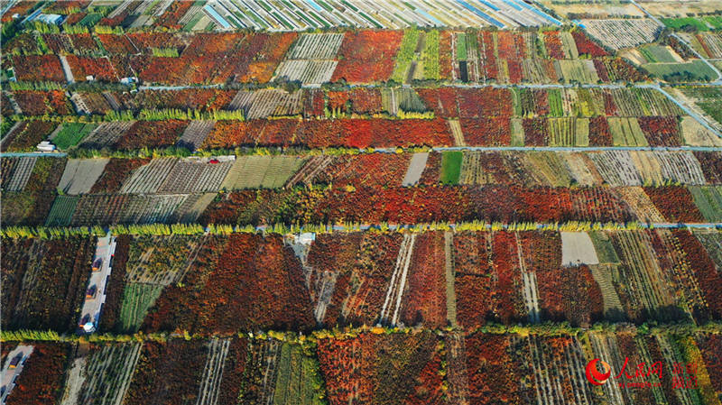 ½пdfӈ@[֮(W㿴½)