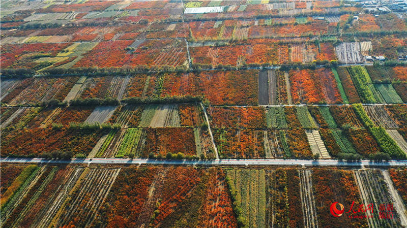 ½пdfӈ@[֮(W㿴½)12