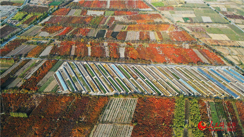 ½пdfӈ@[֮(W㿴½)13