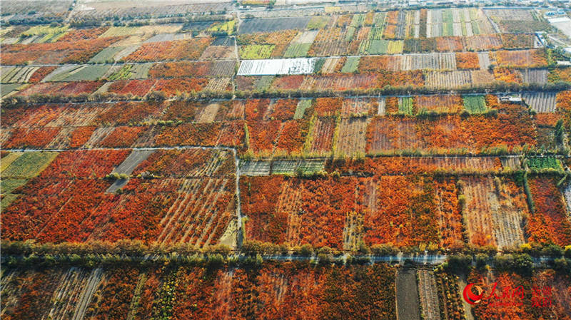 ½пdfӈ@[֮(W㿴½)6