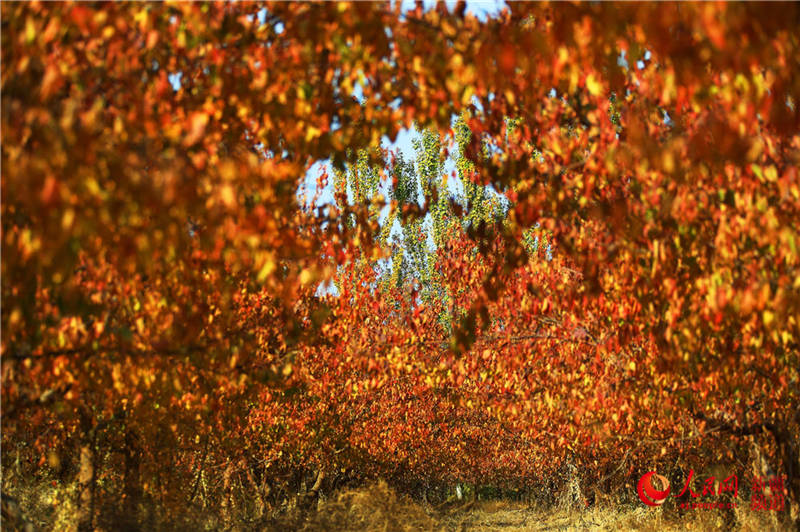 ½пdfӈ@[֮(W㿴½)15