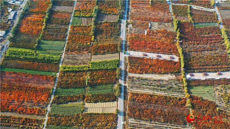 ½пdfӈ@[֮(W㿴½)14