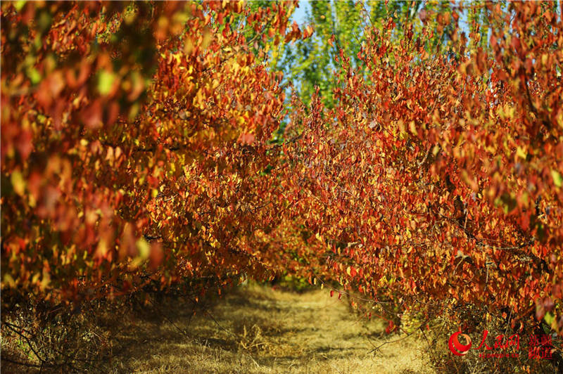 ½пdfӈ@[֮(W㿴½)16