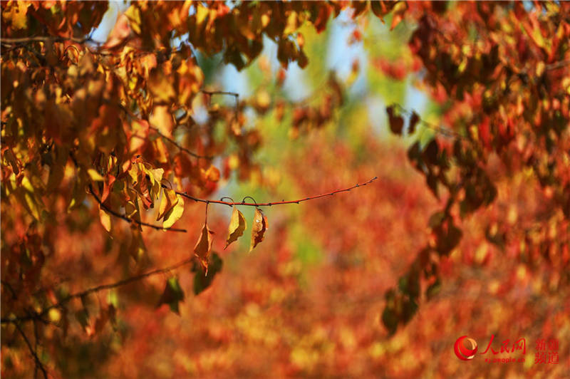 ½пdfӈ@[֮(W㿴½)7