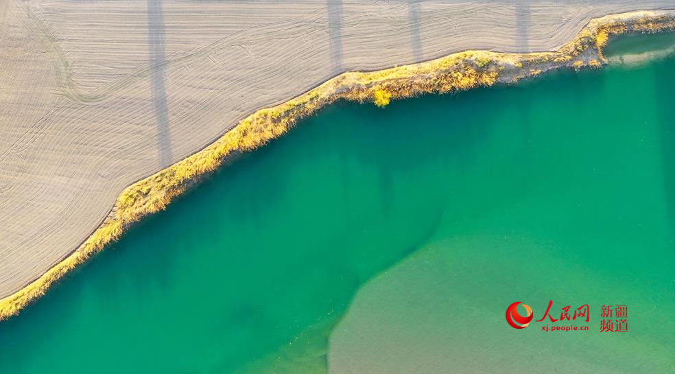 1021½h_ﾰ z