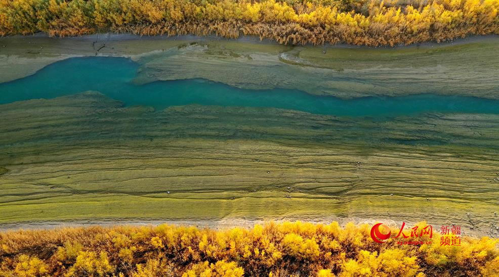 1021½h_ﾰ z