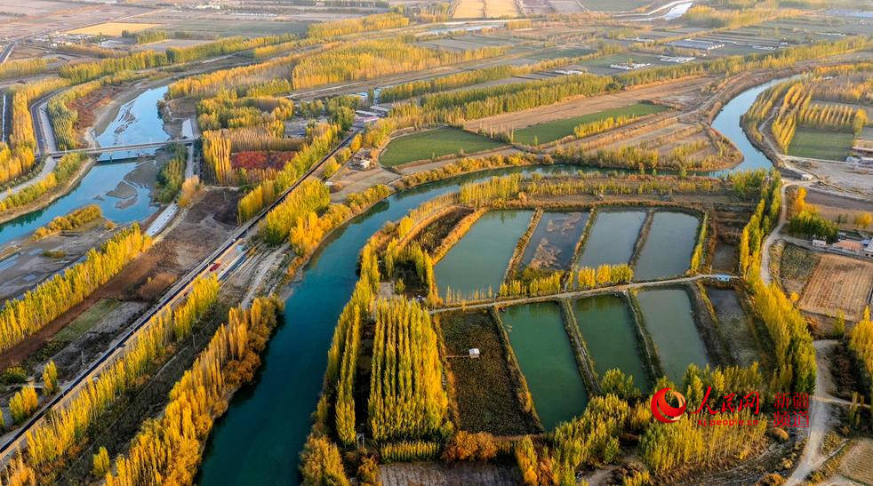 1021½h_ﾰ z