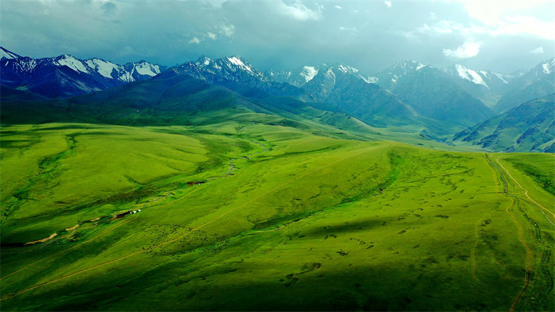 新疆托克遜縣黑山草原 山花爛漫云霧繚繞【2】