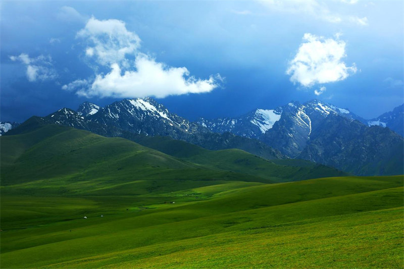 新疆托克遜縣黑山草原 山花爛漫云霧繚繞【5】