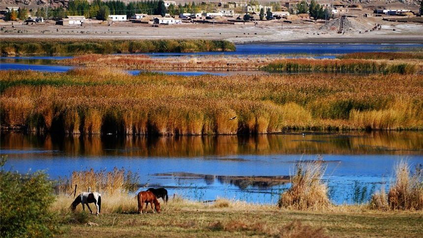 【新疆是個好地方】在可可托海尋找詩和遠方【3】