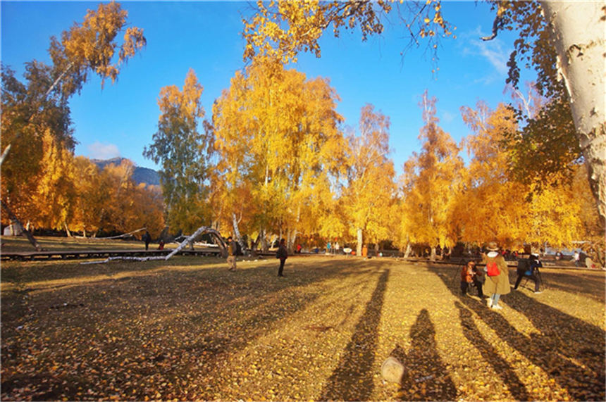 【新疆是個好地方】在可可托海尋找詩和遠方【2】