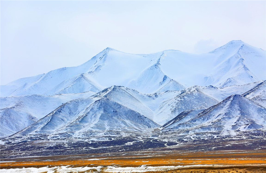 ϡybİɽһһSOwW z