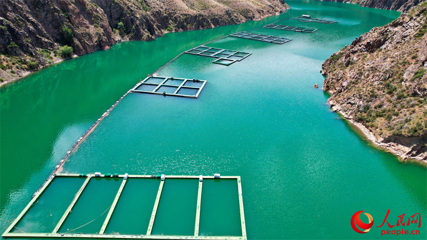 在離海最遠的地方，三文魚安了家！【3】