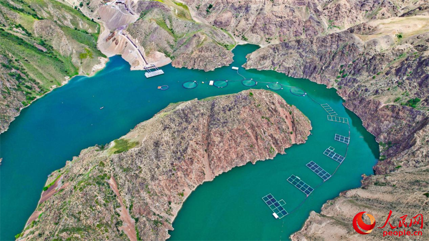 在離海最遠的地方，三文魚安了家！【10】