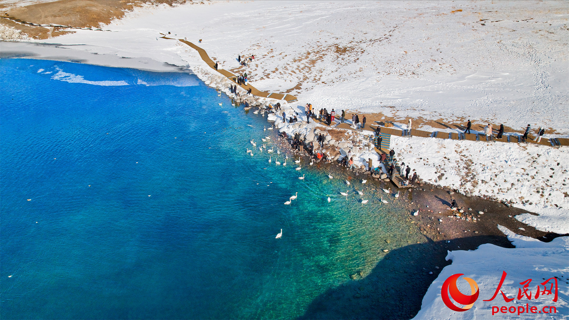 新疆賽里木湖：春至湖畔 候鳥蹁躚