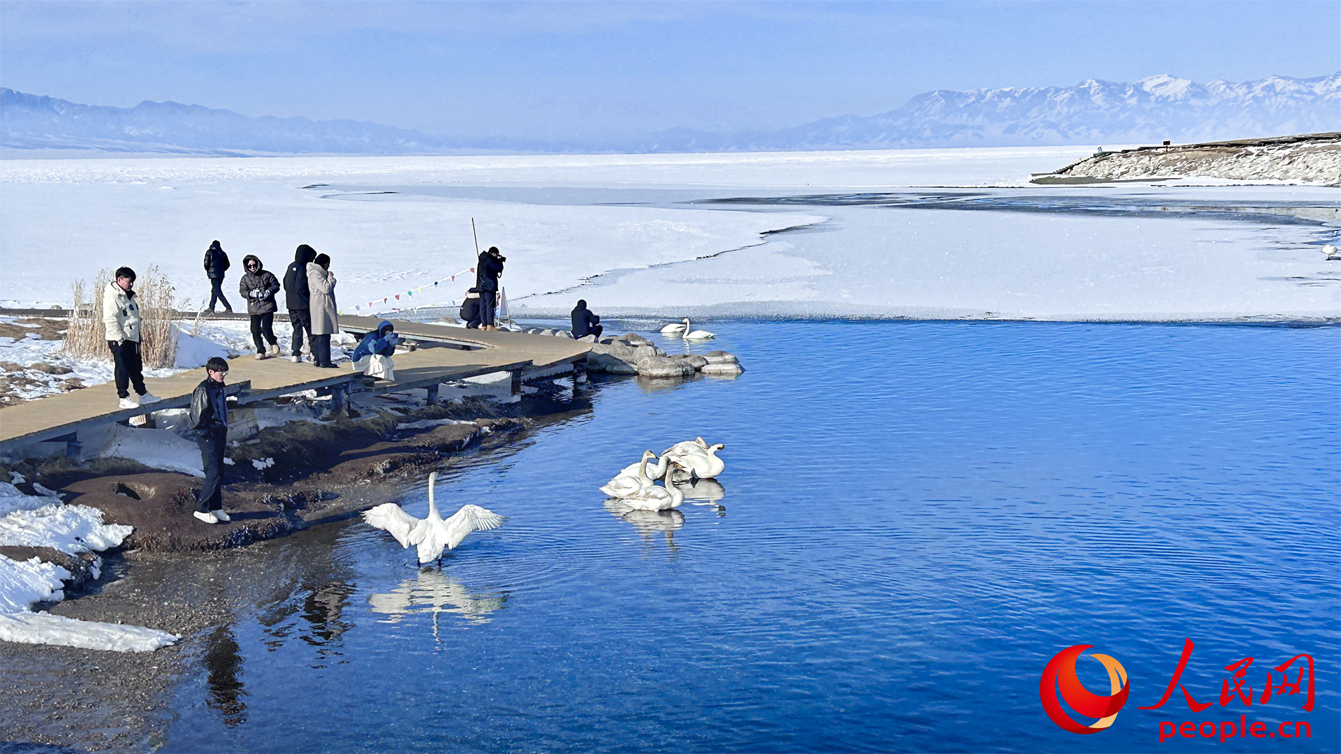 新疆賽里木湖：春至湖畔 候鳥蹁躚【3】