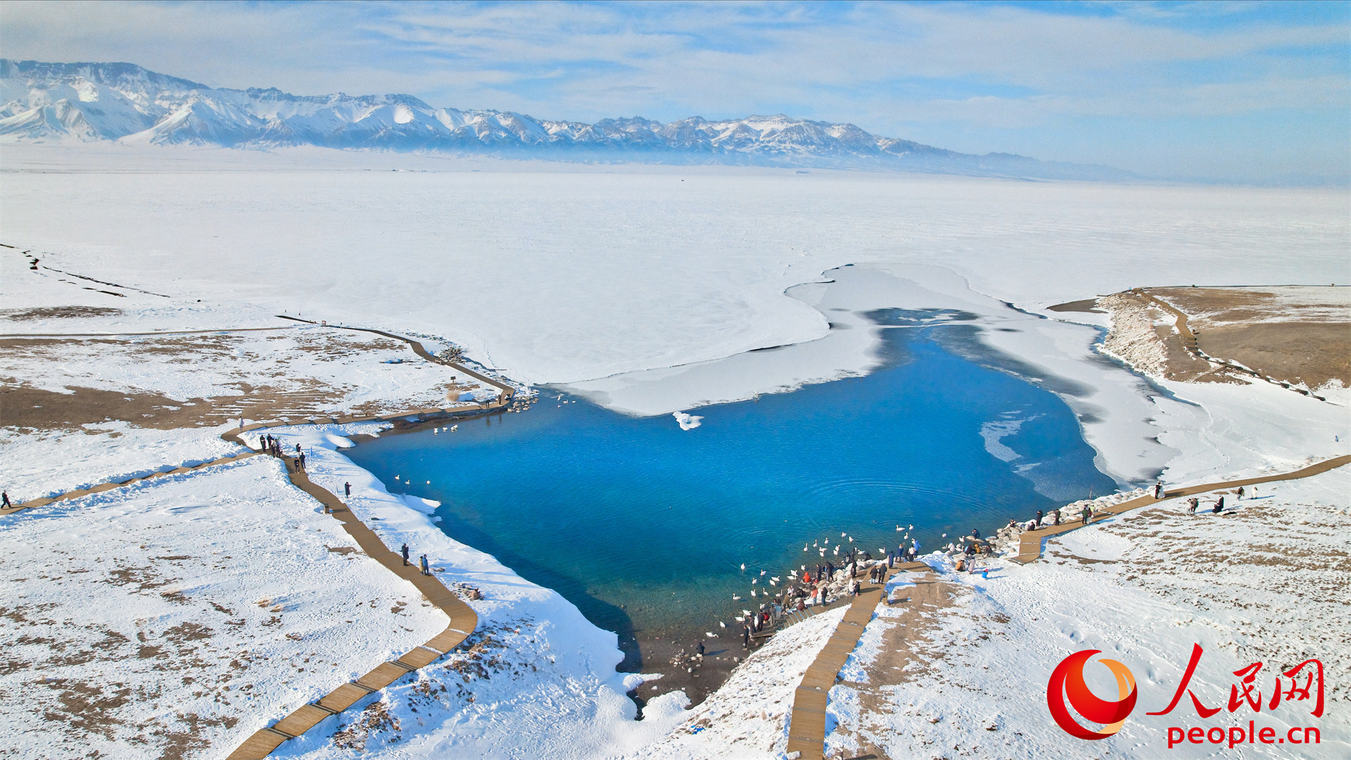 新疆賽里木湖：春至湖畔 候鳥蹁躚【6】