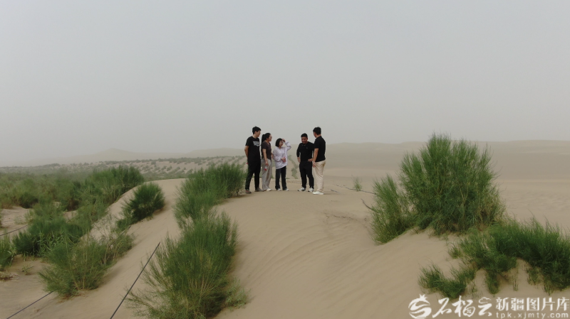 用青春在沙漠邊緣播撒知識種子