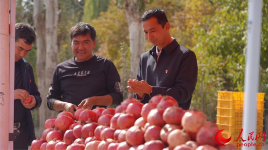 村民正在沿街售賣新鮮采摘的石榴。人民網 李欣洋攝